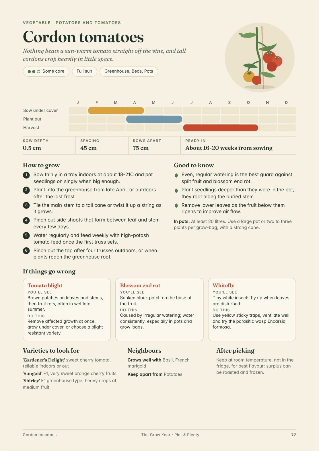 A crop card page for runner beans
